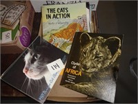 Cat Book/Paperwork Lot Cats