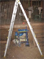 Cosco Folding/Telescopic Ladder