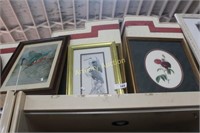 FRAMED PRINTS - BIRDS AND FLOWERS