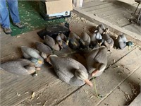 13 Duck Decoys