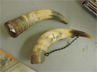 Pair of Horns