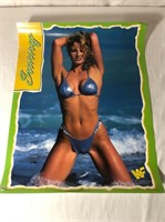WWF Sunny Wrestling Poster
