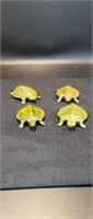 Unusual turtles