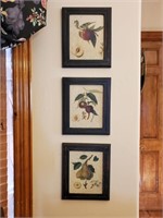 3 Framed Fruit Prints