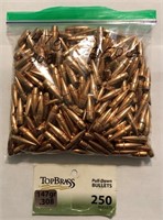 (250) 308 / 30.06 Bullets / Projectiles