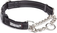 Friends Forever Martingale Collars for Dogs,