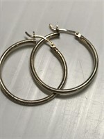 Pair of Earrings-Hoops