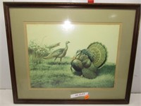 Matted and Framed Turkey Wall Art