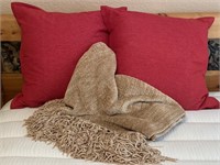 Red Pillows & Chenille Throw