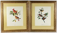 (2) Framed & Matted Audubon Lithographs