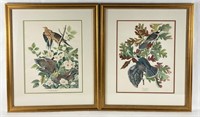 (2) Framed & Matted Audubon Lithographs