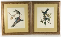 (2) Framed & Matted Audubon Lithographs