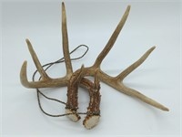 2pc. Deer Antlers