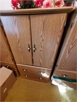 Wood grain cabinet 31"W 55"T