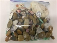 Sea Rocks & Shells