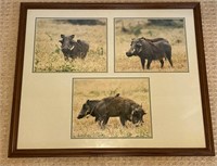 Framed Warthog photos (26" x 22")