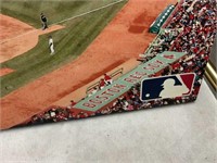 BOSTON RED SOX PICTURE