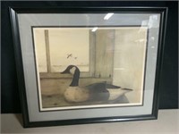 PICTURE OF A GOOSE