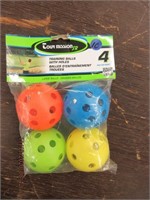 Training Balls W/ Holes -New