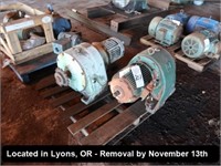 LOT, (2) GEAR MOTORS ON THIS PALLET