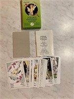 Vintage 6 Language Tarot Card Deck