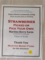 $100 gift cert - strawberries
