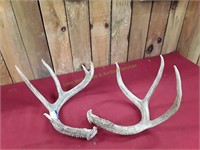 Set of Antlers