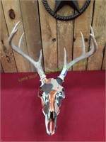 Handpainted Deer Skull w/ Antlers