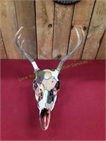 Handpainted Deer Skull w/ Antlers