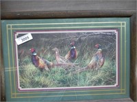 Framed Pheasant Picture