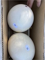 Pair of Empty Ostrich Eggs