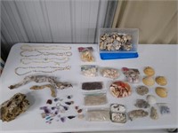 Various Decorative Shells,Rocks & Sand