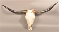 Long Horn Steer European Mount