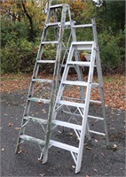 Aluminum Step Ladder & Extension Ladder