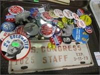 POLITICAL PINS AND CONGRESS STAFF PLATE