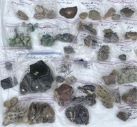 Rock Collection Lot #1 Petrified Dino Bone & More!