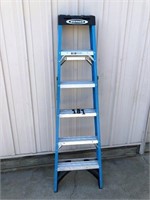 Blue Werner 6' ladder