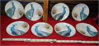 Lot of 8 Peacock Plates