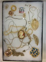 Costume Jewelry Pins, Necklaces, Etc. Case Not