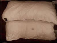 2 King hypoallergenic pillows
