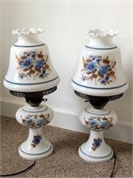 Vintage Blue Floral Lamps
