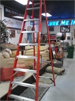 10' werner fiberglass ladder