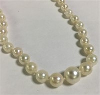 10k Gold And Pearl Necklace