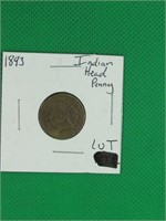 1893 Indian Head Penny