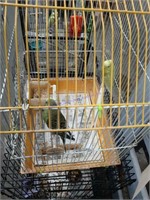 2 Unsexed Parakeets W/ Yellow Cage