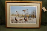 Framed Pheasant Print Signed by Morkel, 342/650