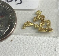 0.3 Grams Alaskan Natural Gold