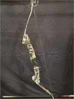 Browning Ted Nugent archery compound bow