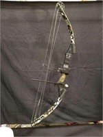 Pinnacle archery compound bow