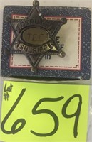 Avon deputy sheriff badge pin